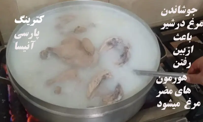 تصویری از پخت مرغ سالم و بدون هورمون در شیر برای غذای شرکتی کترینگ پارسی آنیسا شعبه یادگار، آماده سازی غذا.