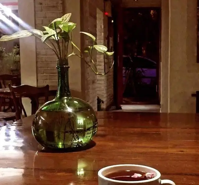 تصویری از فضای داخلی کافه پیانسا: میزی چوبی، گلدانی سبز با گیاه، فنجان چای یا قهوه با گلبرگ، فضایی دنج و ایده‌آل برای استراحت و لذت بردن.