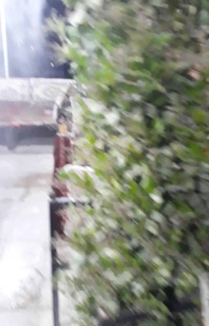 رستوران شنزار: لذت صرف غذا در فضای سبز و آرامش‌بخش، محیطی دلنشین برای دورهمی‌های خانوادگی و دوستانه در باغ شنزار.