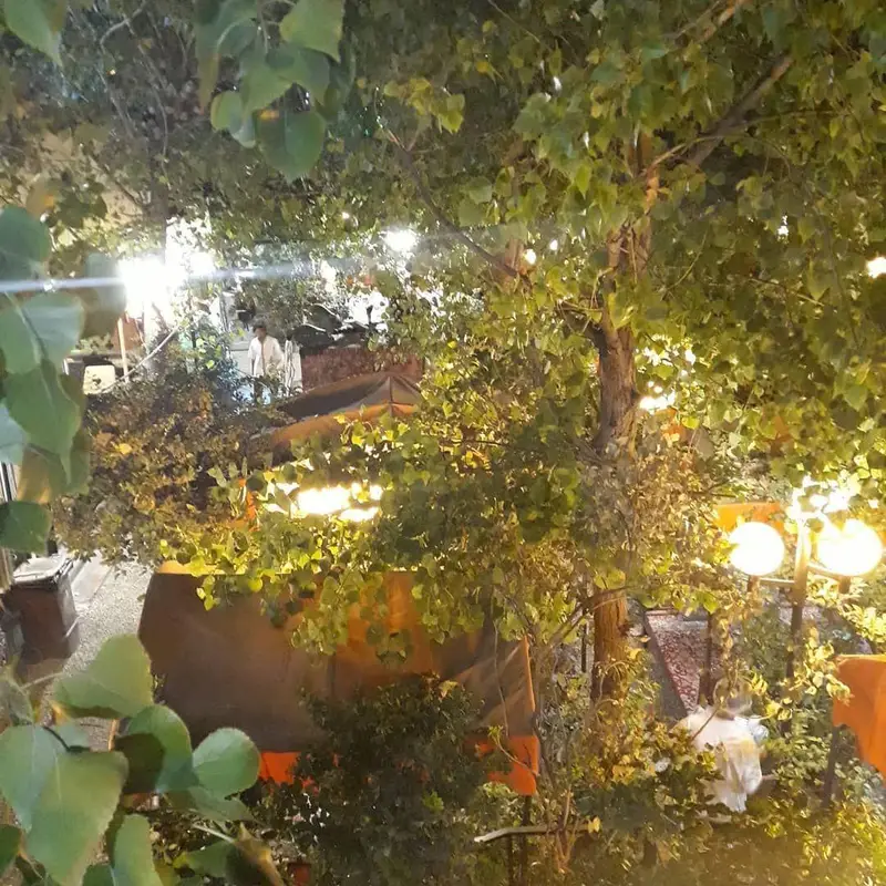 تصویری از فضای دلنشین و سرسبز رستوران شنزار با درختان بلند و نورپردازی گرم، محیطی عالی برای تجربه شام یا کافه در شب.