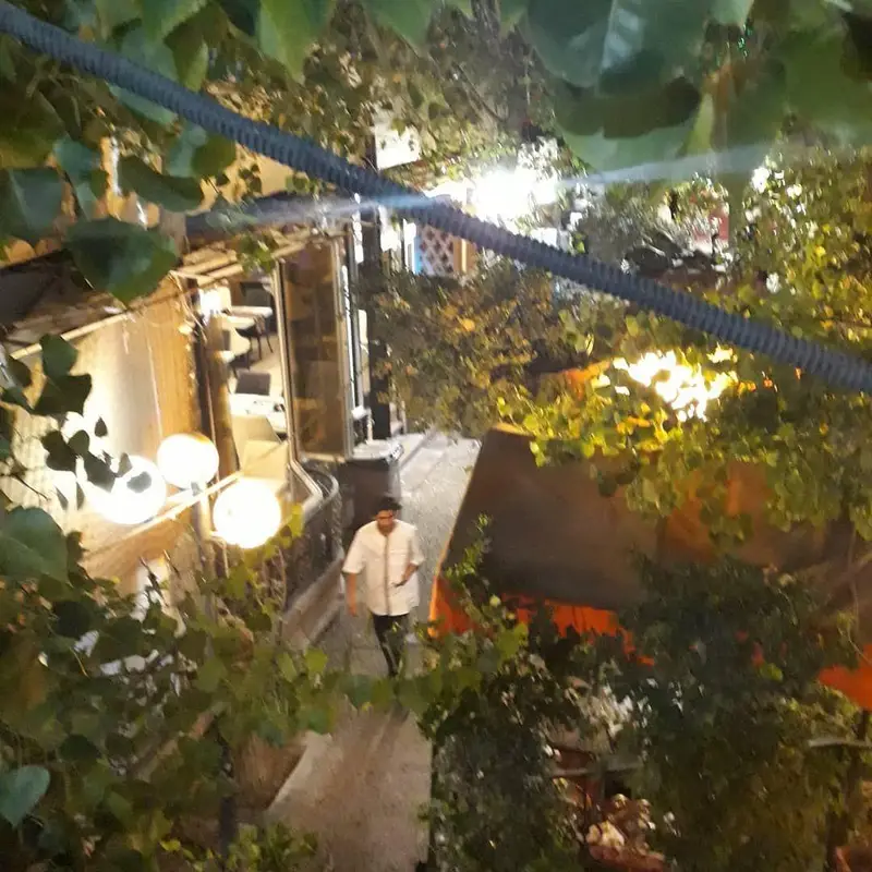 فضای باز دلپذیر و سرسبز رستوران شنزار در شب، با نورپردازی گرم و محیطی آرام، بهترین انتخاب برای صرف یک شام لذت‌بخش و خاص.