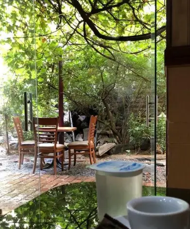 محیط آرام و دنج کافه پستو با چشم‌اندازی زیبا به فضای سبز و طبیعت از پشت پنجره. میز و صندلی‌های چوبی در باغ برای استراحتی دلپذیر.