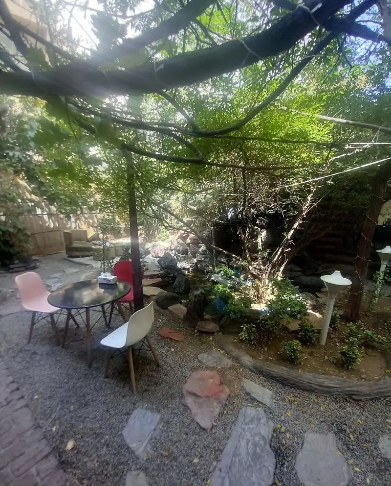 فضای سرسبز و آرامش‌بخش کافه پستو با میز و صندلی‌های مدرن در محوطه باغی دلنشین، ایده‌آل برای دورهمی و استراحت زیر سایه درختان.