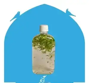 بطری نوشیدنی خنک و گوارای گیاهی با برگ‌های تازه، نمادی از طعم‌های اصیل در رستوران روحی (کریم خان). تجربه‌ای لذت‌بخش و طبیعی.