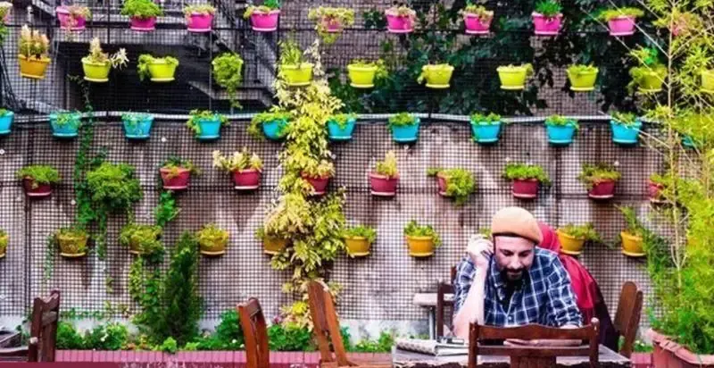 فضایی دلنشین و آرامش‌بخش در رد کافه. دیوارهای سبز با گلدان‌های رنگارنگ و گیاهان متنوع، محیطی ایده‌آل برای استراحت و صرف نوشیدنی.