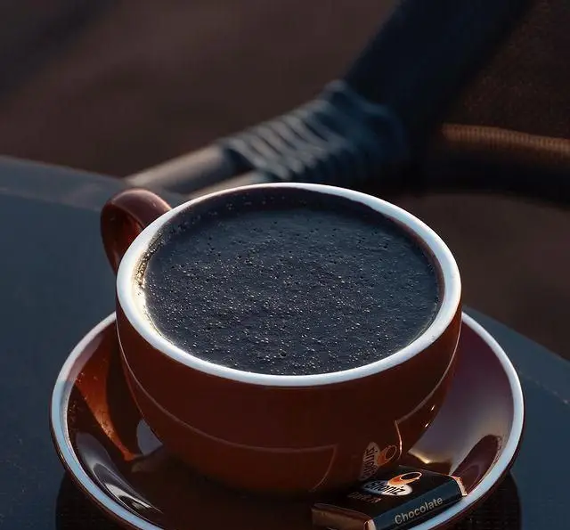 تصویری دلپذیر از یک فنجان قهوه غلیظ یا شکلات داغ با شکلات روی نعلبکی، تجربه‌ای بی‌نظیر در کشتی رستوران رویال لانژ.