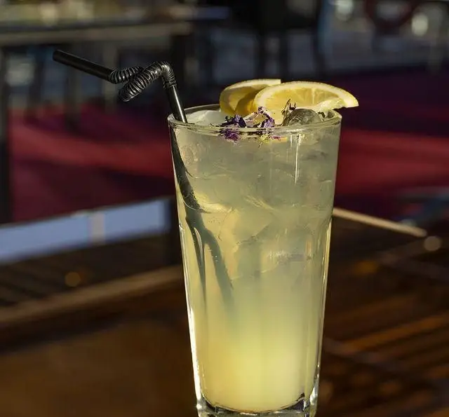 یک لیوان بلند نوشیدنی خنک و گوارا، مزین به برش‌های لیمو و گل‌های خشک، سرو شده در محیط دلنشین کشتی رستوران رویال لانژ.