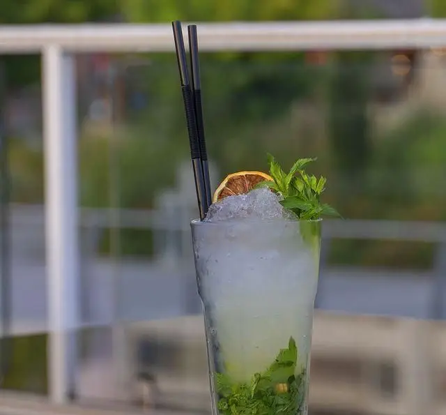 کوکتل خنک تابستانی با نعنا، یخ و پرتقال خشک، تجربه‌ای دلنشین در کشتی رستوران رویال لانژ.