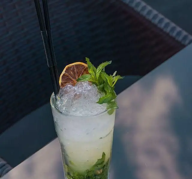 نوشیدنی موهیتو تابستانی و گوارا با یخ، برگ نعنا و تزئین پرتقال خشک در فضای شیک کشتی رستوران رویال لانژ، منتظر شماست.