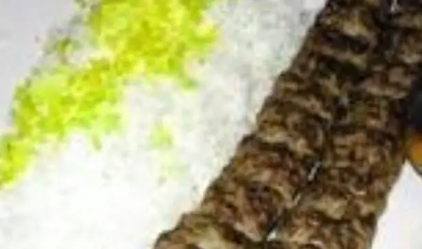 کباب کوبیده اصیل و اشتهاآور کبابی سلطانی شعبه ۲، سرو شده با پلو سفید مجلسی و سبزیجات تازه معطر. تجربه‌ای لذیذ.