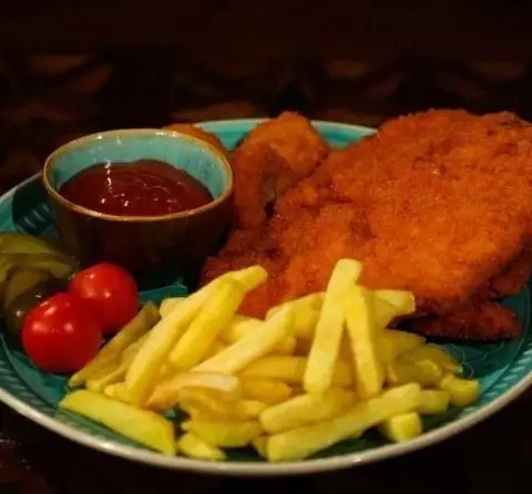 بشقاب لذیذ شنیسل مرغ با سیب زمینی سرخ کرده، کچاپ و مخلفات در کافه رستوران سنتی قصر ایرانیان. انتخابی عالی برای ناهار یا شام.