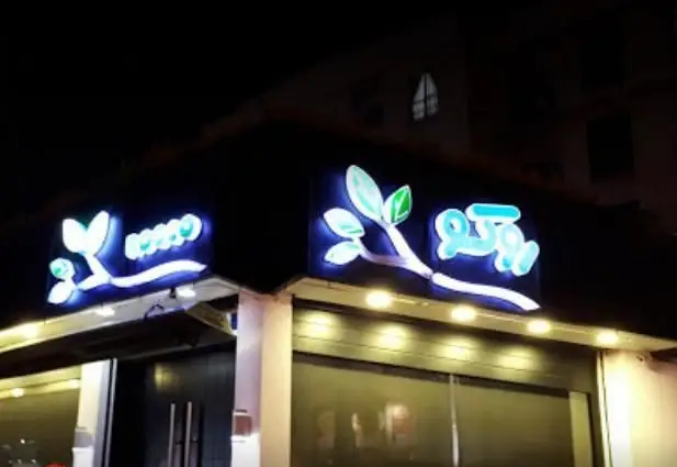 تابلوی نئون درخشان فست فود روکو در شب، با لوگوی برگ و شاخه، نمای بیرونی جذاب یک رستوران مدرن و پر جنب و جوش.