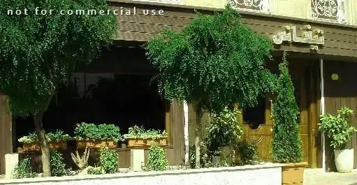 نمای بیرونی کافه تیفانی، کافی شاپی دنج و سرسبز با درختان زیبا و گلدان‌های گل در ورودی، محیطی آرامش‌بخش برای مشتریان.