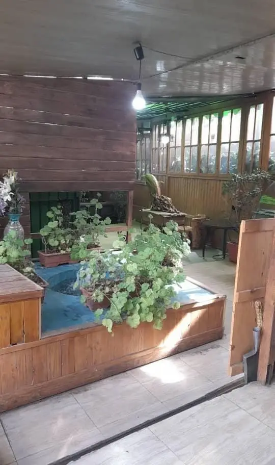 نمایی دلنشین از فضای داخلی باغ گیلاس با دکوراسیون چوبی، گل و گیاه فراوان در گلدان‌ها و حوضچه‌ای زیبا، محیطی آرامش‌بخش برای مشتریان.