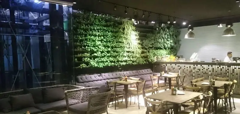 کافی شاپ ایزار با دکوراسیون داخلی مدرن، شامل دیوار سبز با گیاهان طبیعی شاداب، مبلمان راحتی و میزهای چوبی برای خلق فضایی دلنشین و آرام