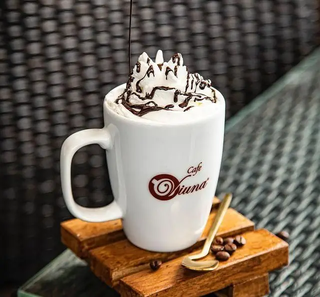 قهوه یا هات چاکلت کافه ویونا با تاپینگ خامه فرم گرفته و سس شکلات در فنجان سفید زیبا، مناسب برای یک روز عالی در کافی شاپ.