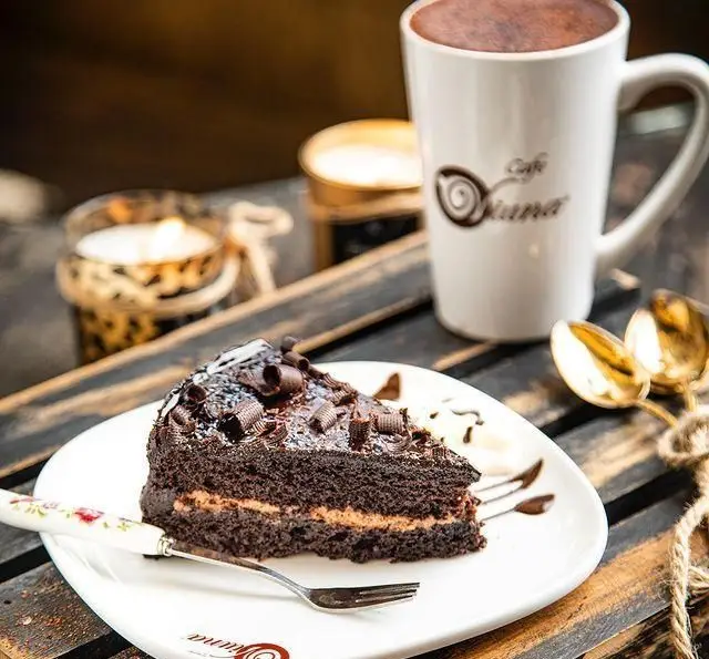 کیک شکلاتی خوشمزه کافه ویونا با لایه‌های کرمی، در کنار یک فنجان قهوه داغ و محیطی دنج برای لحظات شیرین و دلپذیر.
