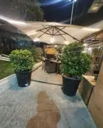 تصویر پروفایل کافه رستوران لایم