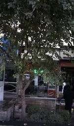 تصویر پروفایل چلوکبابی نصرت