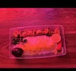 تصویر 5 - کافه رستوران آرشیو