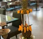 تصویر 2 - کافه رستوران مستان