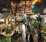 تصویر 5 - کافه رستوران باغ ایرانی