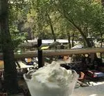 تصویر 4 - کافه رستوران باغ ایرانی