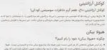 تصویر 1 - فست فود باماهاس