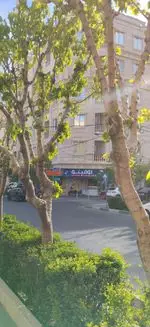 تصویر پروفایل فست فود دومینو