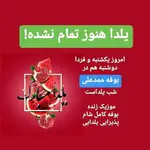 تصویر 4 - هوم برگر