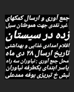 تصویر 3 - هوم برگر