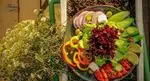 تصویر 4 - کافه رستوران ایتالیایی فلورین