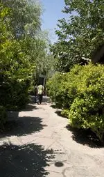 تصویر پروفایل رستوران سپیدار