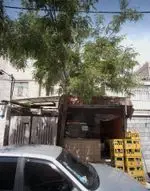 تصویر 1 - پیتزا ساندویچ آبادانا