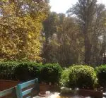 تصویر 4 - ایوان رستوران