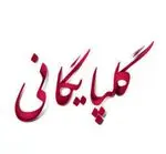 تصویر 1 - کبابی برادران گلپایگانی