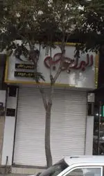 تصویر 2 - البرز جوجه