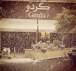 تصویر پروفایل کافه گردو