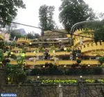 تصویر 2 - رستوران باغ بهشت