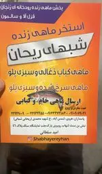 تصویر 4 - ماهی سرا شب های ریحان