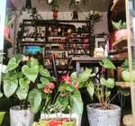 تصویر 2 - کافه دونه (نارمک)