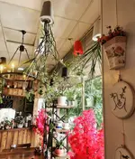 تصویر پروفایل کافه دونه (نارمک)