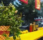 تصویر 4 - پاستا چنگال