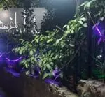 تصویر 3 - باغ رستوران بهشتی