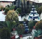 تصویر 1 - رستوران تخت جمشید