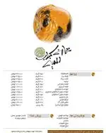 تصویر 3 - کبابی کباب ذغالی گلپایگانی 