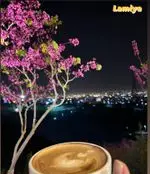 تصویر 3 - کافه رستوران لمیاء