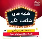 تصویر 4 - عطاویچ فردوس غرب