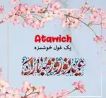 تصویر 5 - عطاویچ فردوس غرب