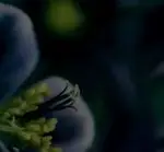 تصویر 3 - رستوران ماه و مهر